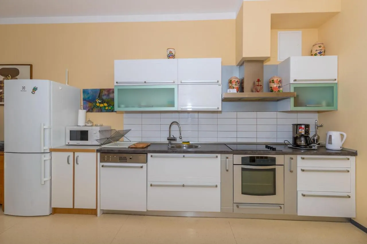Apartment In Selce 41920